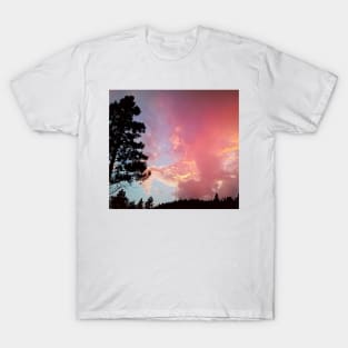 Cotton Candy Sunset, British Columbia, Canada T-Shirt